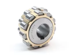 400752305 Double Row Cylindrical Roller Eccentric Bearing