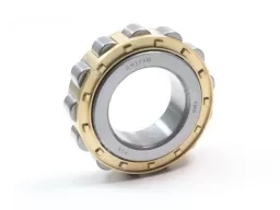 RN309M Brass Cage Cylindrical Roller Bearing