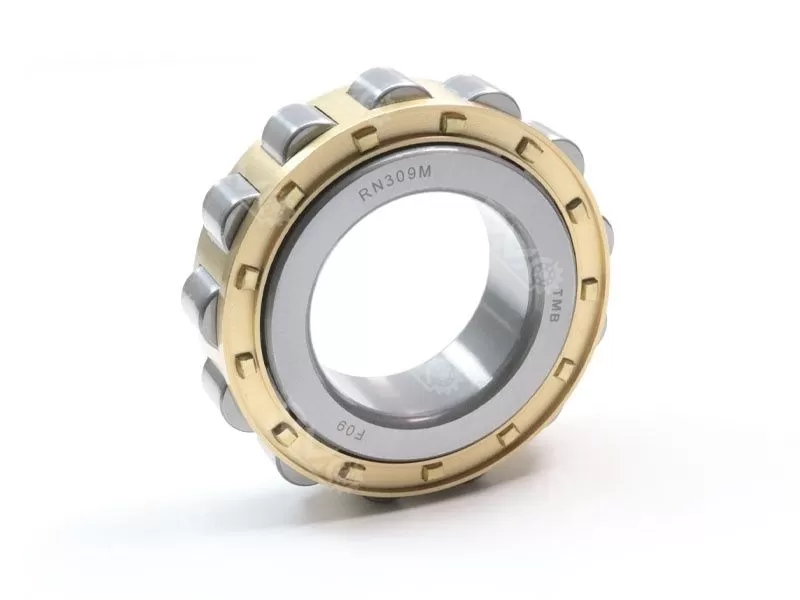 RN309M brass cage cylindrical roller bearing