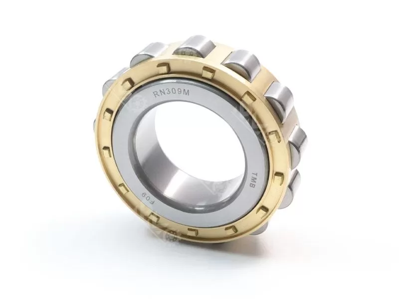 RN309M cylindrical roller bearing