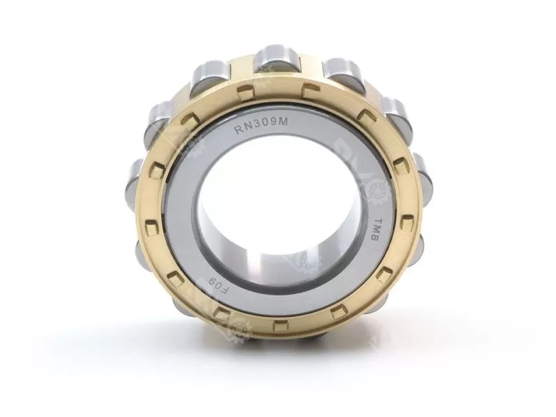 RN307M cylindrical roller bearing