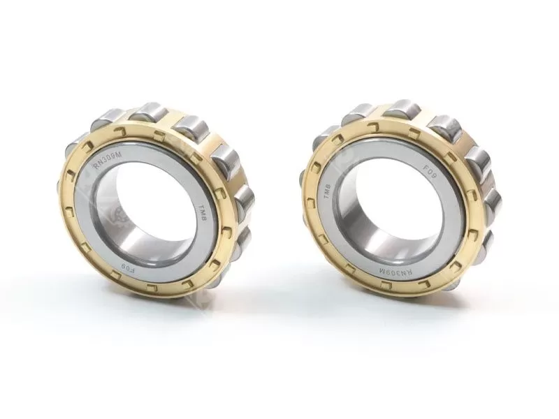 RN310M cylindrical roller bearing