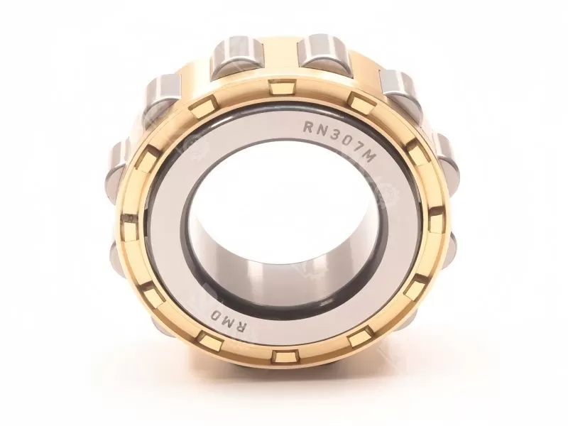 RN307 bearing