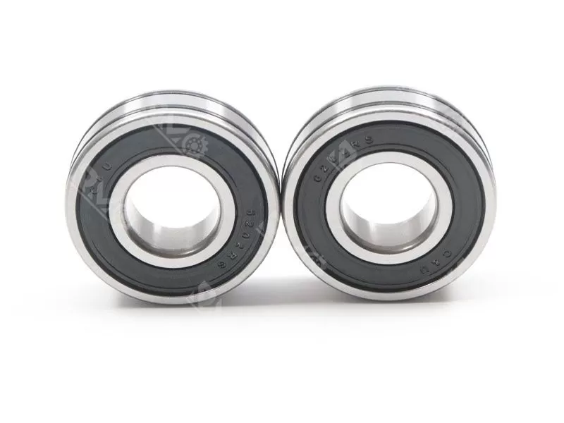 6202RS with O-rings 
