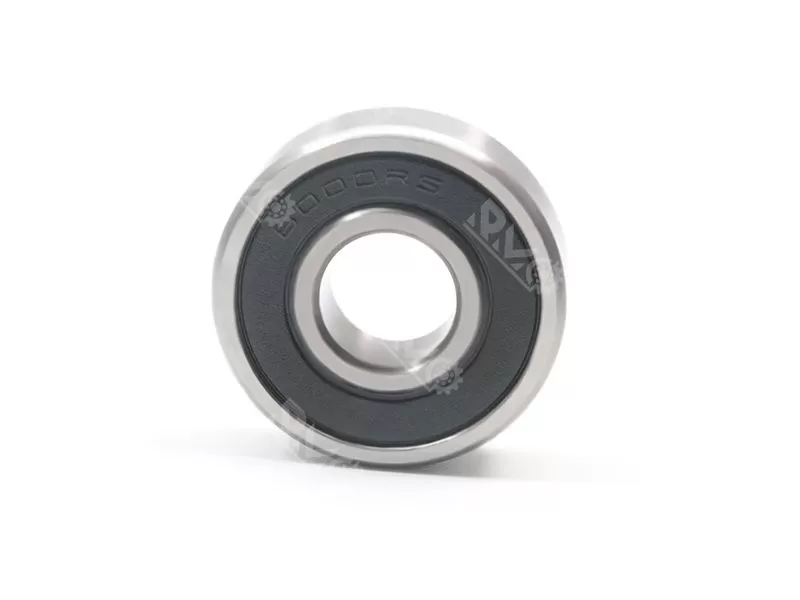 6000 bearing