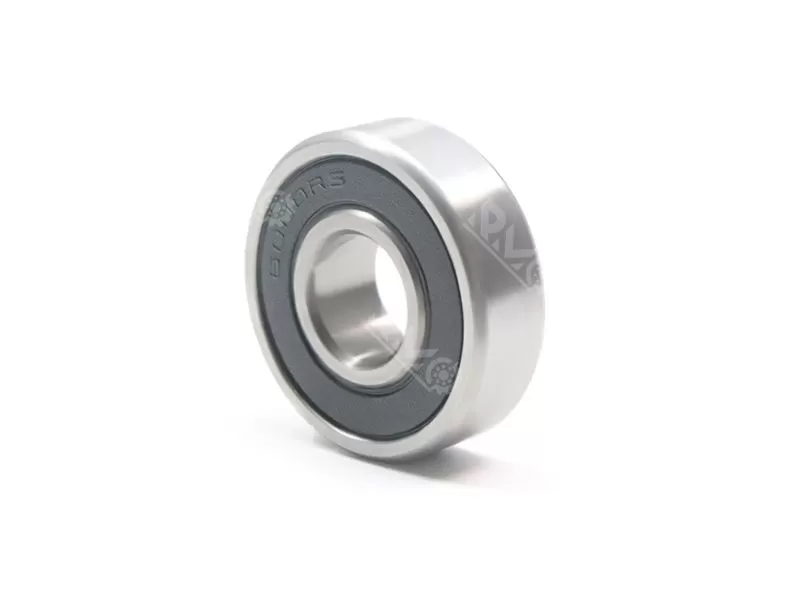 6000 rs bearing