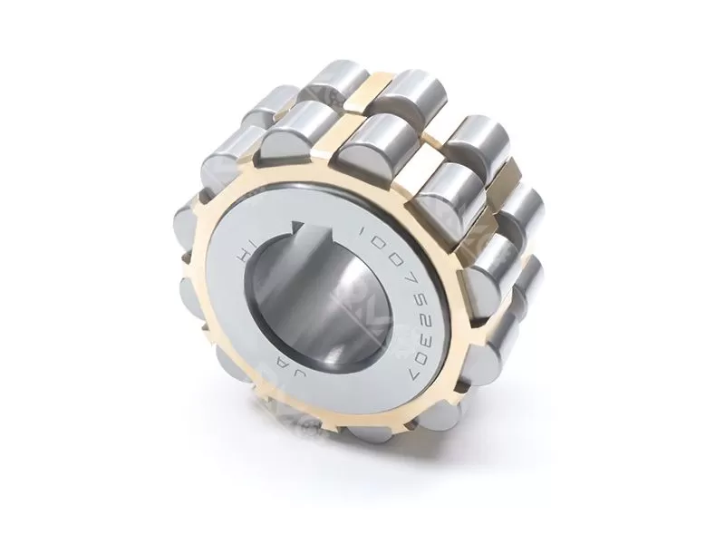 100752307 Double Row Cylindrical Roller Eccentric Bearing