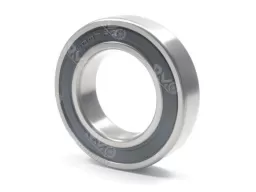 6007-36-2RS Non-Standard Deep Groove Ball Bearings