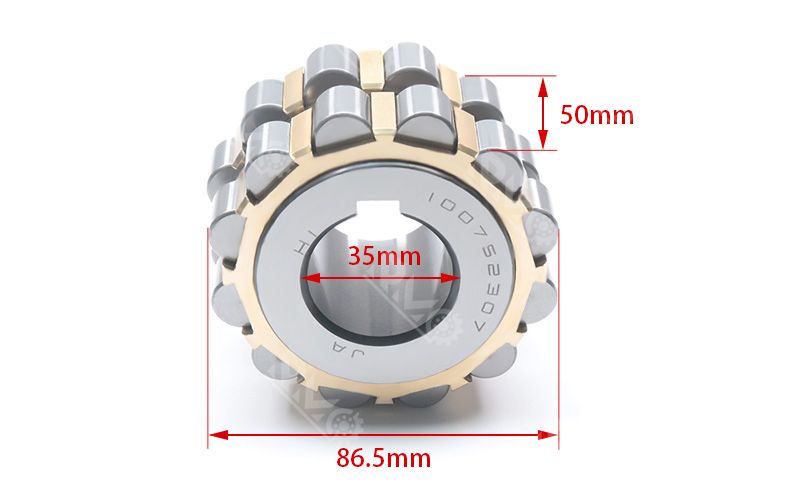 100752307 double row cylindrical roller eccentric bearing